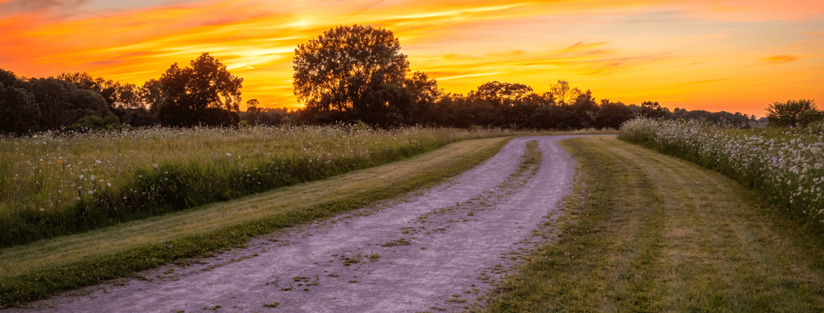 Wisconsin’s Future