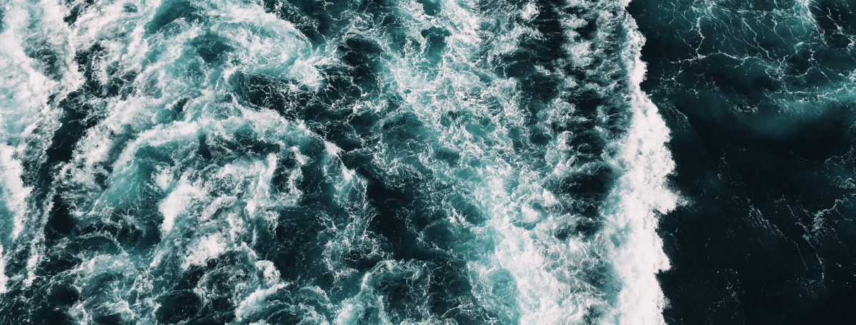 Look for the Label Series: 1% for the&nbsp;Planet