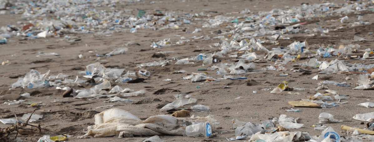 Plastic Series II: A Pervasive&nbsp;Problem