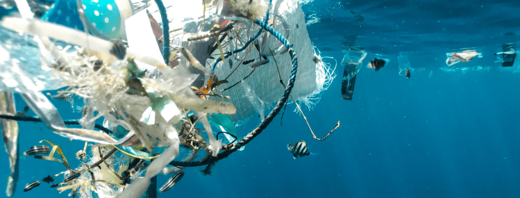 Plastic Series III: Where You Come&nbsp;In