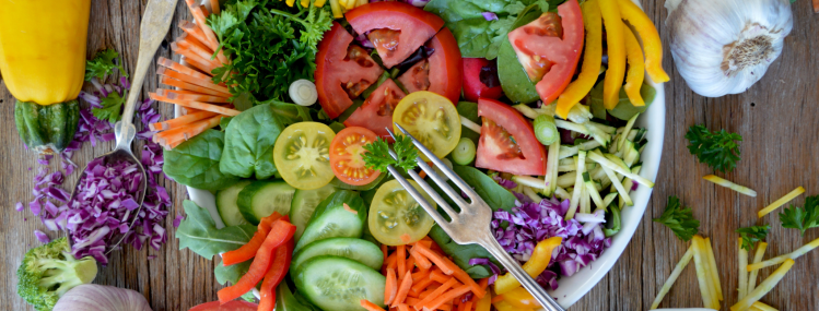 Sustainable Sustenance Series II: Busting Myths on Plant-Based&nbsp;Diets